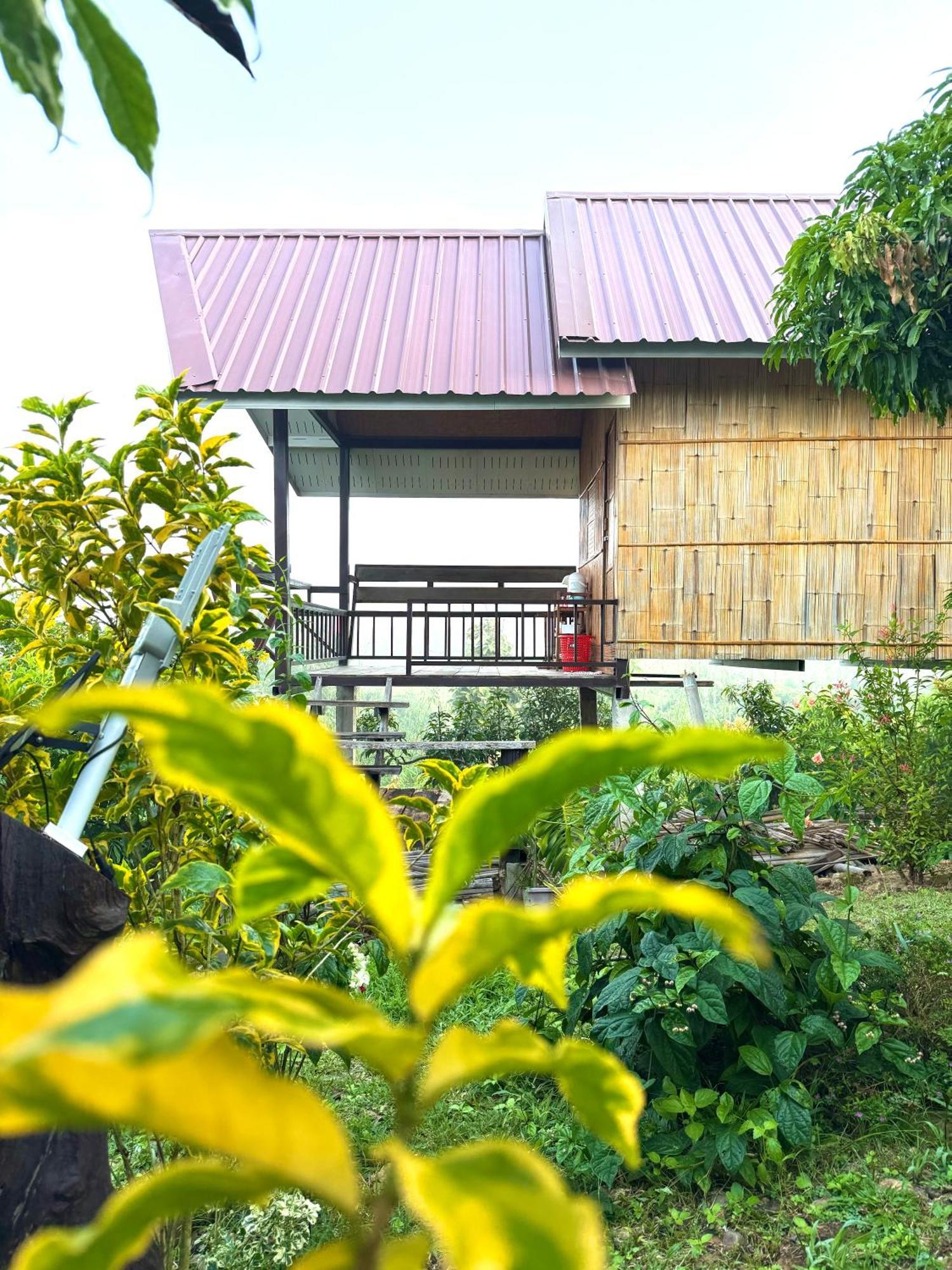 Doicherngngam Home Stay Chiang Dao Buitenkant foto