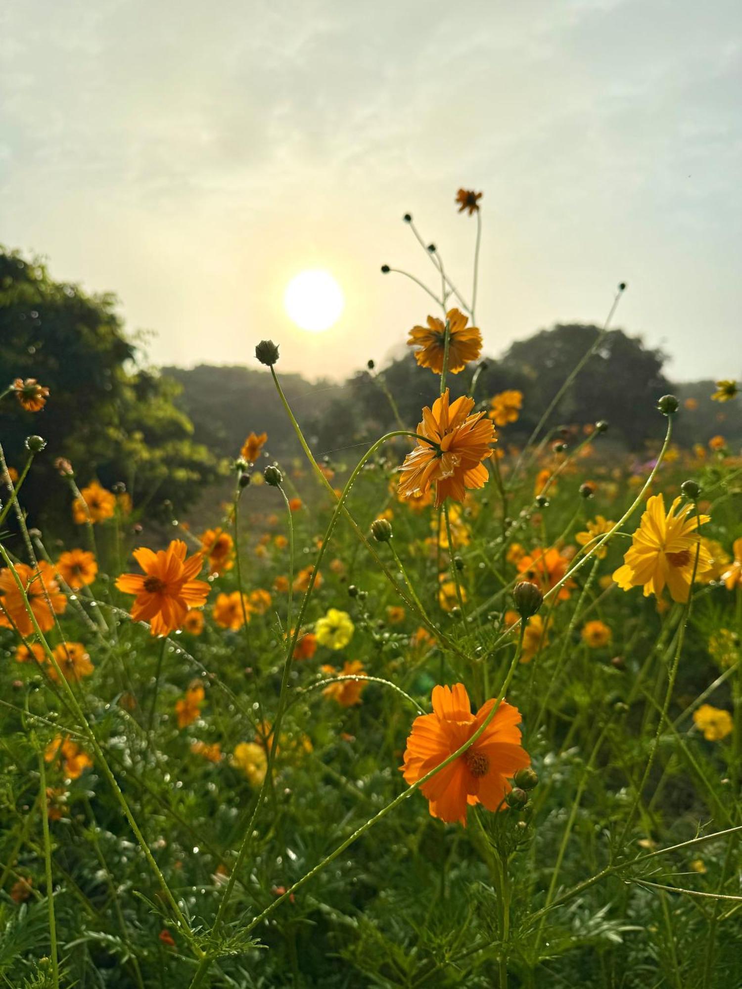 Doicherngngam Home Stay Chiang Dao Buitenkant foto
