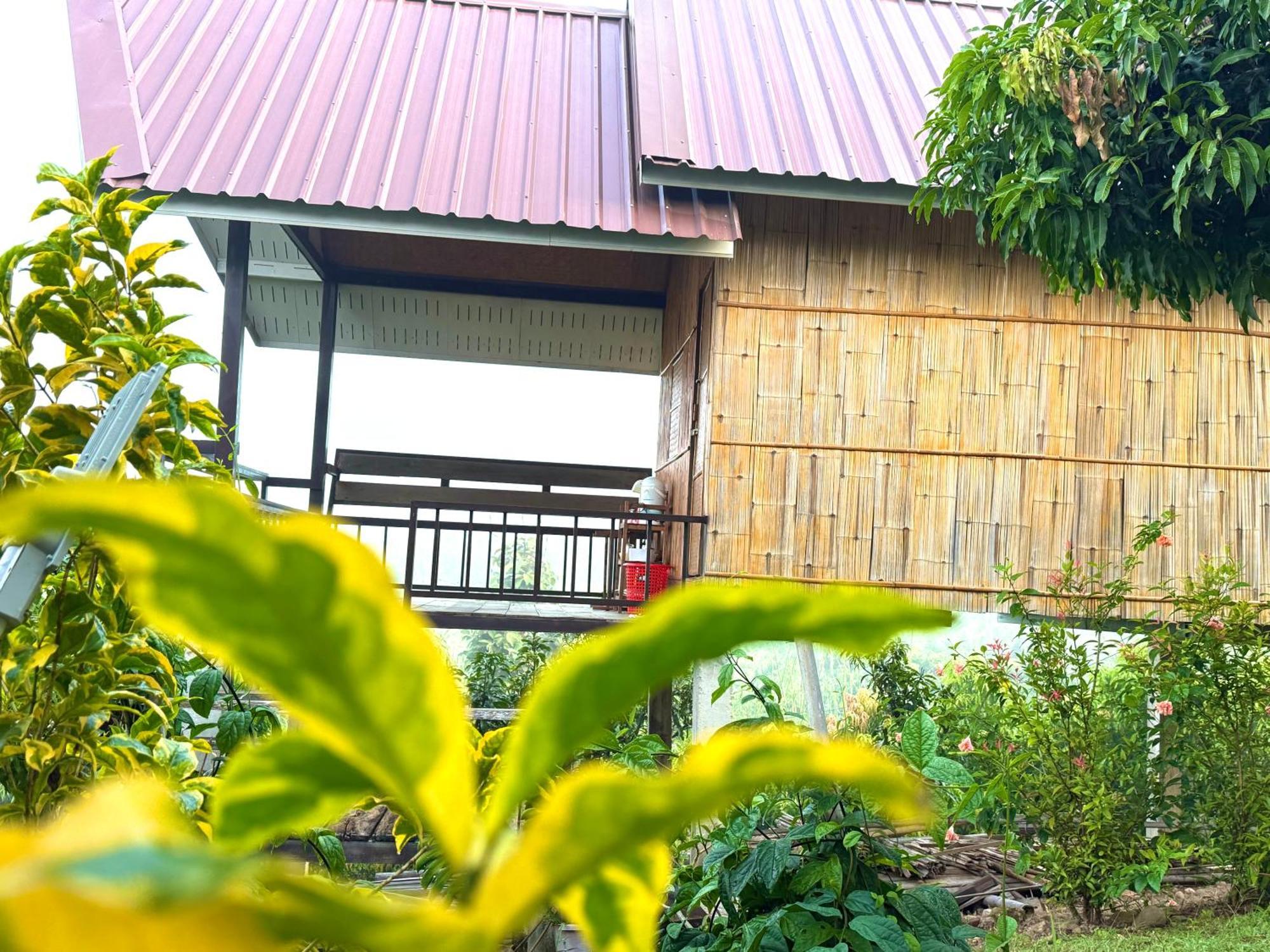 Doicherngngam Home Stay Chiang Dao Buitenkant foto